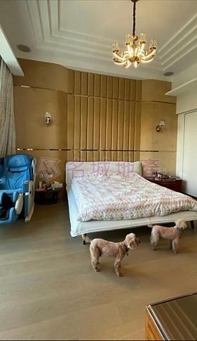 名家匯 沙田 B157236 售盤