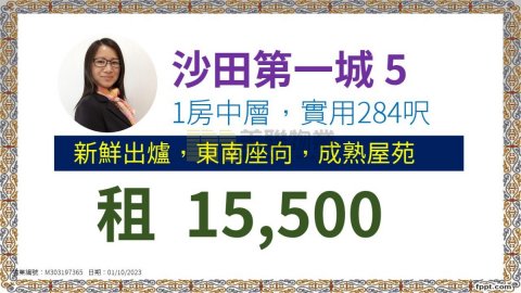 沙田第一城 沙田 中層 1366235 售盤