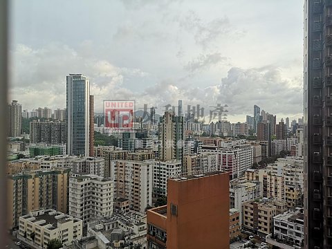 成龍居 九龍城 高層 T145157 售盤