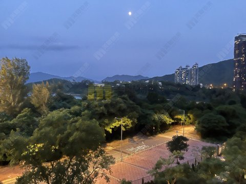 星漣海 馬鞍山 低層 1166495 售盤