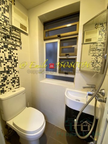 沙田圍舊村 @ EMILY 95080096