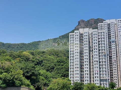 天宏苑 橫頭磡 W155113 售盤