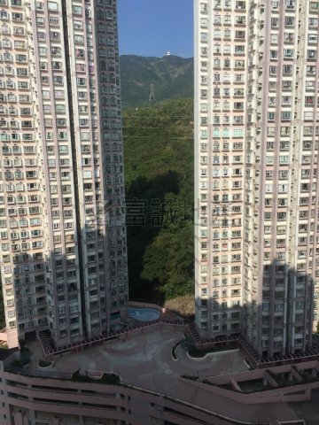 瓊麗苑 牛池灣 高層 T085481 售盤