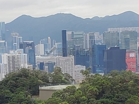 海港花園 牛池灣 高層 G086535 售盤