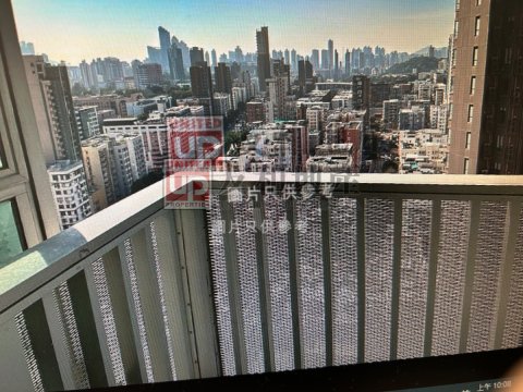 博林軒 九龍城 高層 T145312 售盤