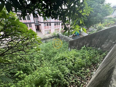 國興村