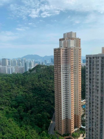 海港花园【富诚实盘】 牛池湾 高层 N089406 售盘