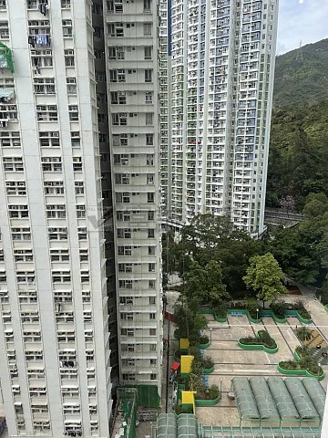 KING SHAN COURT Ngau Chi Wan T123960 For Buy