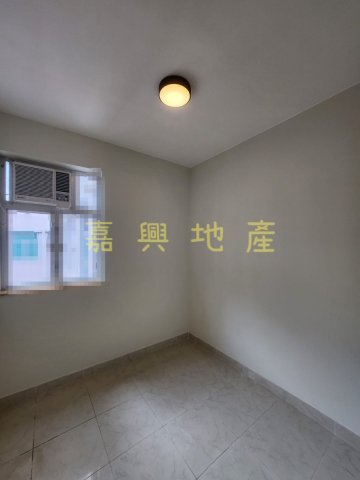 布心排  95081731