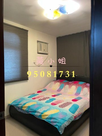 散頭角 95081731