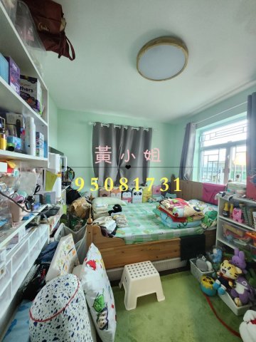 蘆慈田  95081731