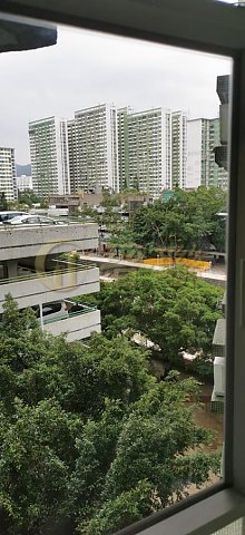 MAY SHING COURT  Shatin M A020660 For Buy