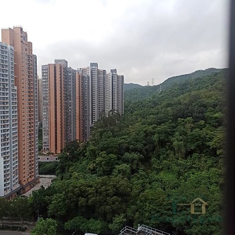 MAY SHING COURT  Shatin H A028839 For Buy