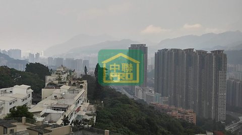 福來別墅 沙田 中層 T165631 售盤