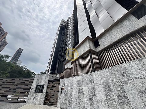 尚岸