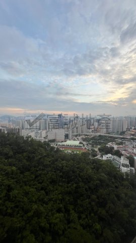 嘉峰台[高層無敵景][筍爆] 牛池灣 N124485 售盤