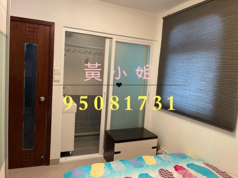 散頭角 95081731