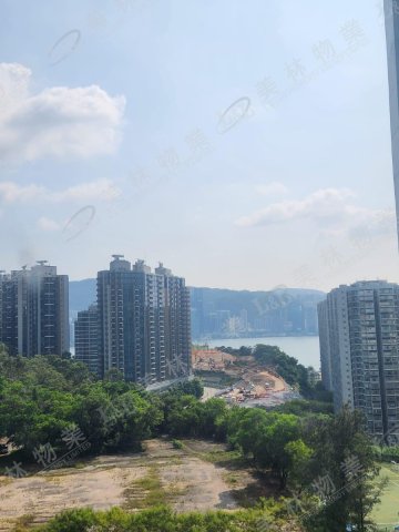 llam.com.hk