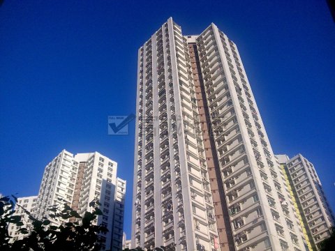 KING SHAN COURT  Ngau Chi Wan M T089684 For Buy