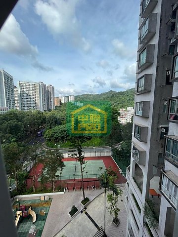 GOLDEN LION GDN PH 02  Shatin L S000335 For Buy