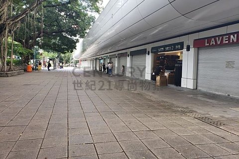柏丽购物大道 尖沙咀 低层 C122047 售盘