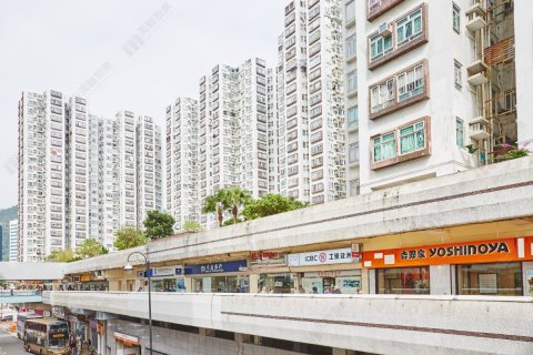 LUCKY PLAZA FUNG LAM COURT (C1) Shatin L 1473558 For Buy
