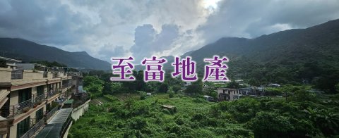 林村新村 大埔 頂層 1573888 售盤