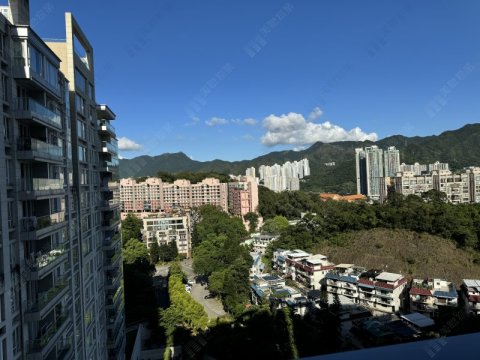 壹号云顶 沙田 中层 1538976 售盘