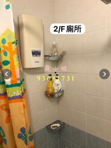 布心排   95081731