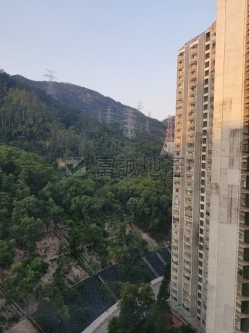 竹園北村 黃大仙 高層 T015932 售盤