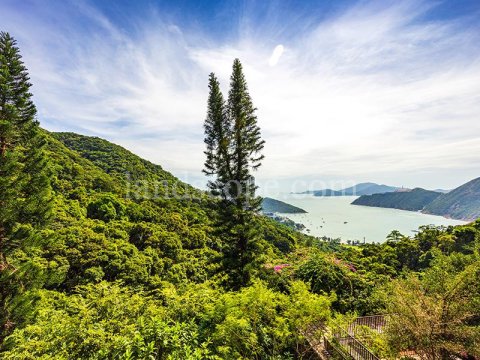 海峰園 淺水灣 1598120 售盤