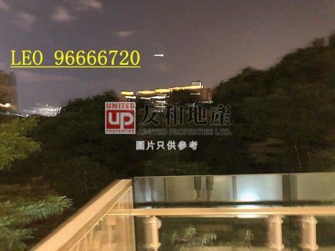 畢架山一號 九龍塘 中層 T124325 售盤
