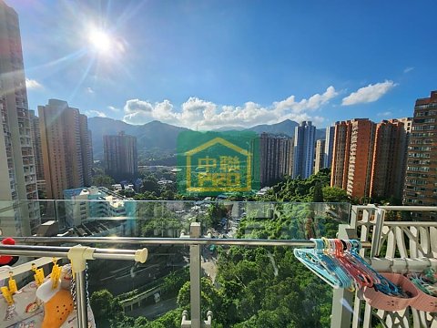 HILL PARAMOUNT Shatin T175969 For Buy