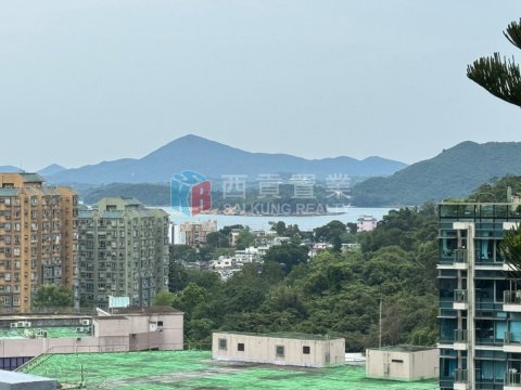 菠蘿輋