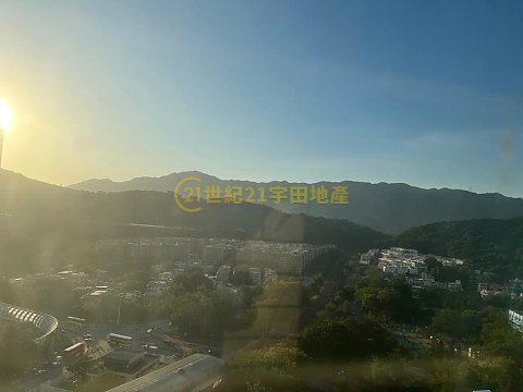 太和村 大埔 高層 F154714 售盤