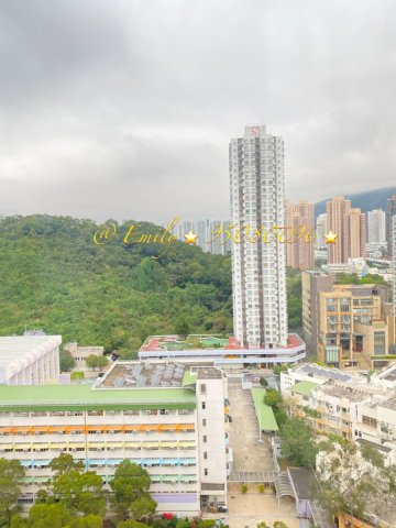 花園城 @ EMILY 95080096