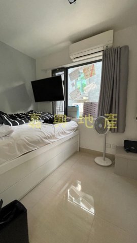 荔枝山 95080030