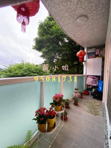 龙尾村  95081731