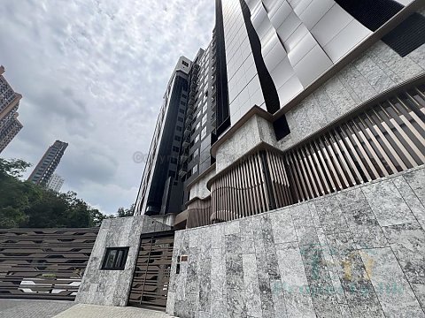尚岸