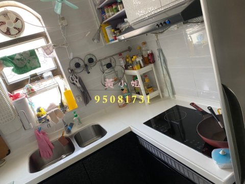 大尾督村  95081731