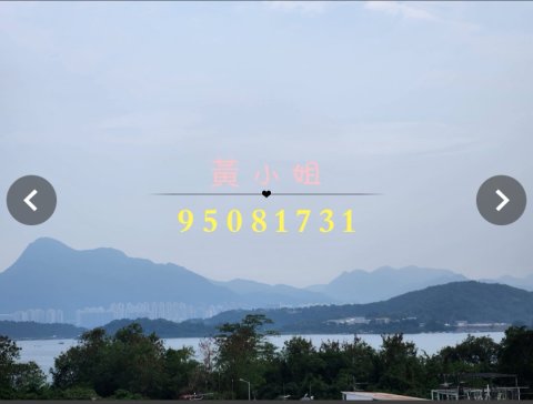 布心排 95081731