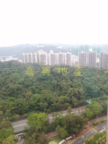 YUE TIN COURT  Shatin H H038230 For Buy