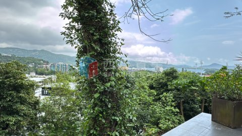 躉場
