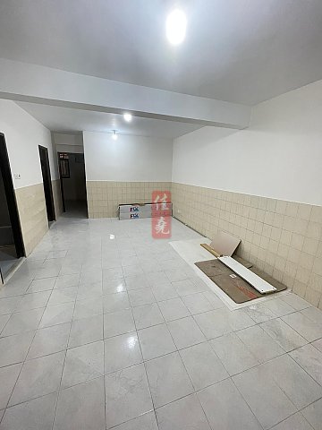掃管埔村地下2房1廁 上水 地下 007495 售盤
