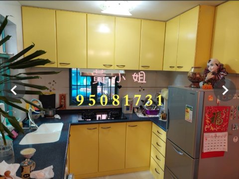 钟屋村 大埔 地下 G124381 售盘