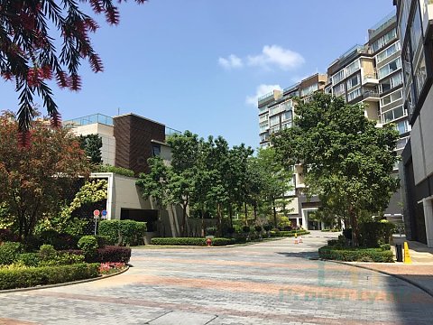 滿名山 滿庭