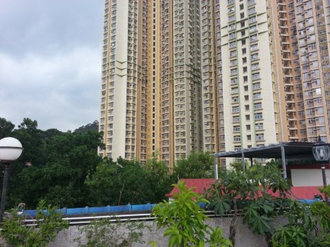 大圍新村 @ EMILY 95080096