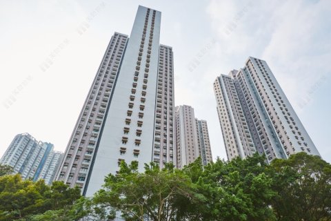 KING MING COURT BLK B FAI KING HSE (HOS) Tseung Kwan O H 1534718 For Buy