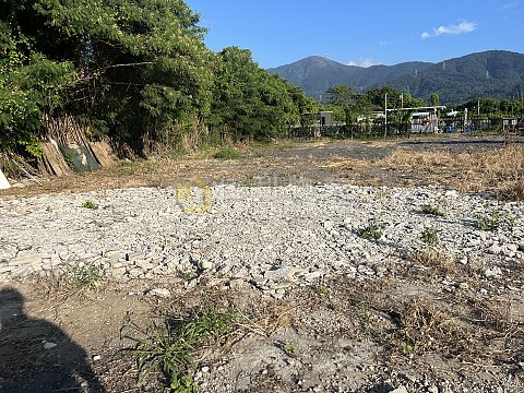 水流田金錢圍 元朗 Y035705 售盤