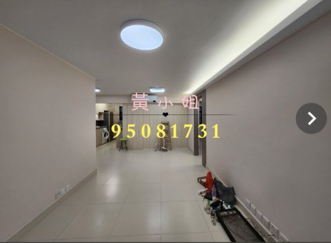 龍尾村  95081731